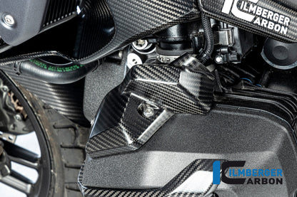 Injector Cover links mat carbon BMW R1300GS TE 2023+