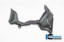 Voortandwielcover mat carbon Ducati Multistrada V4 (2025+)