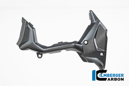 Voortandwielcover mat carbon Ducati Multistrada V4 Pikes Peak (2022-2024)