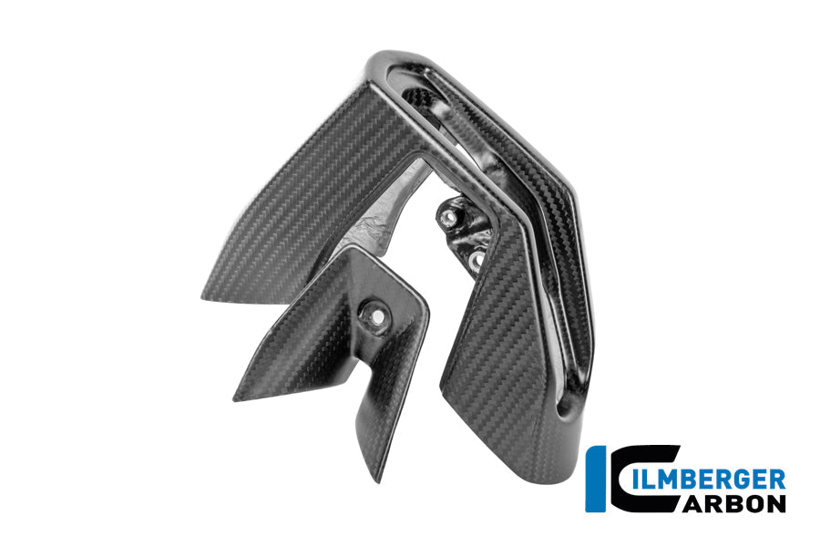 Uitlaat eindkapset carbon mat BMW R1300RS Triple Black (2025+)
