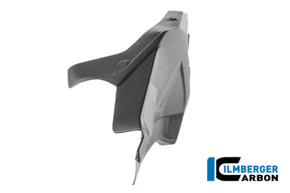 Achterbrugcover (links) mat carbon Ducati Panigale V4R (2026+)