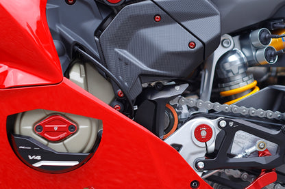 Voortandwielcover Panigale V4S (2027+)