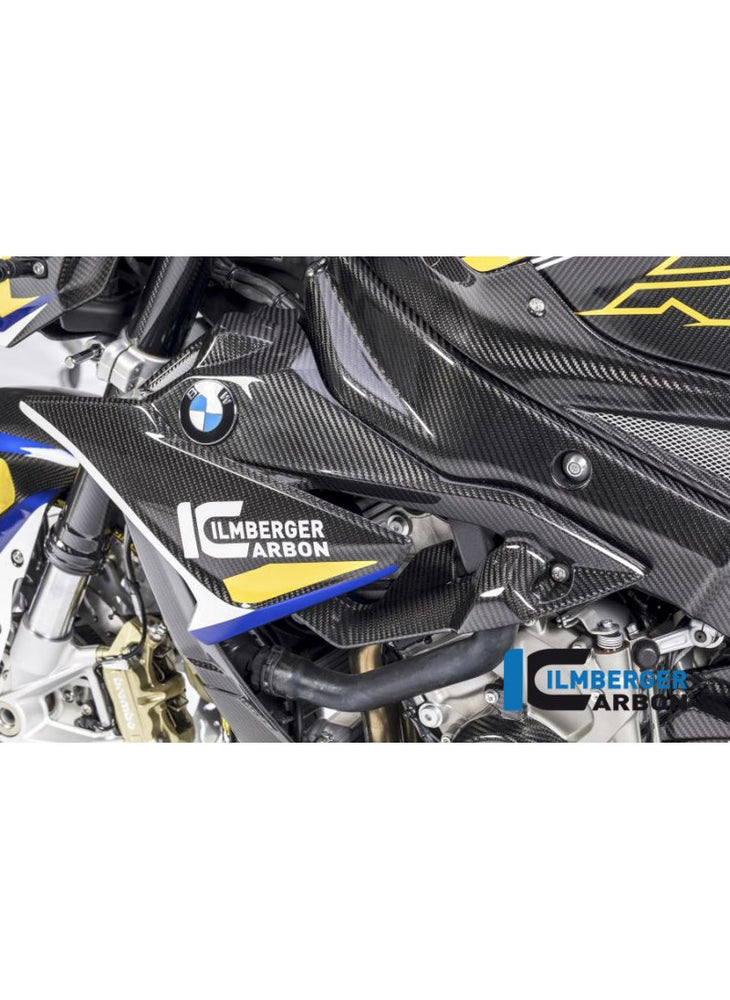 Frame Cover Carbon left BMW S1000R 2017-