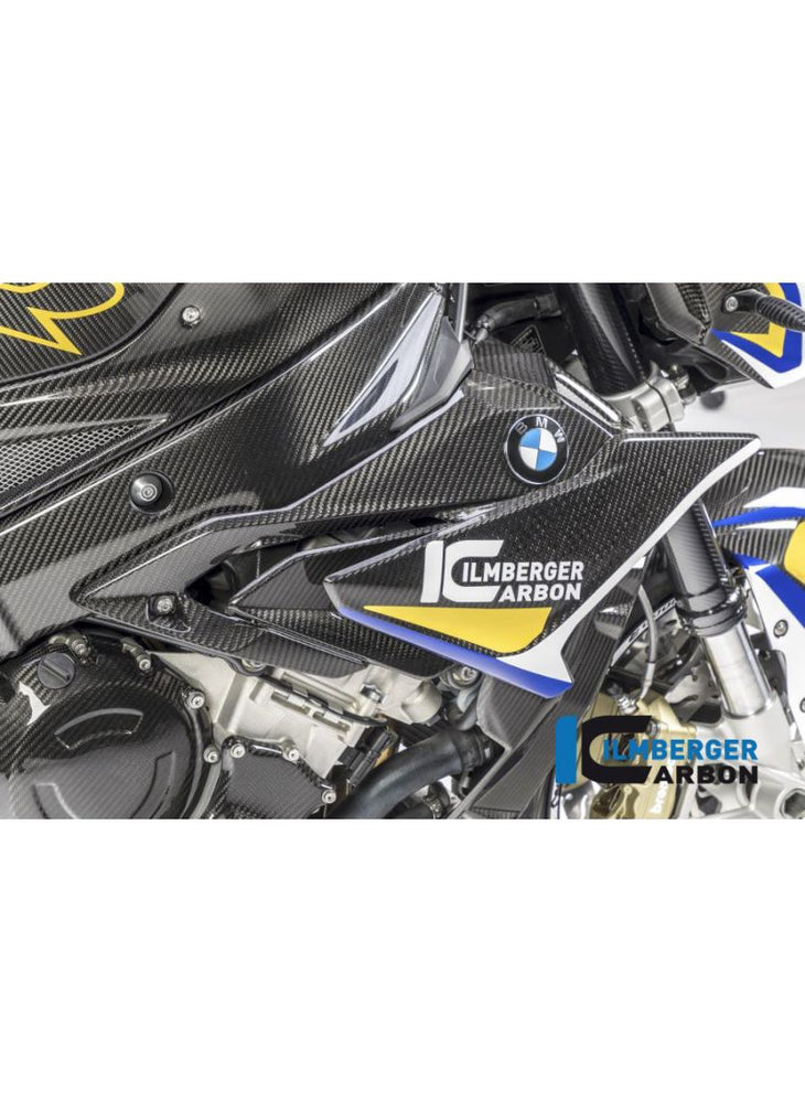 Radiator Cover Carbon right BMW S1000R 2017-