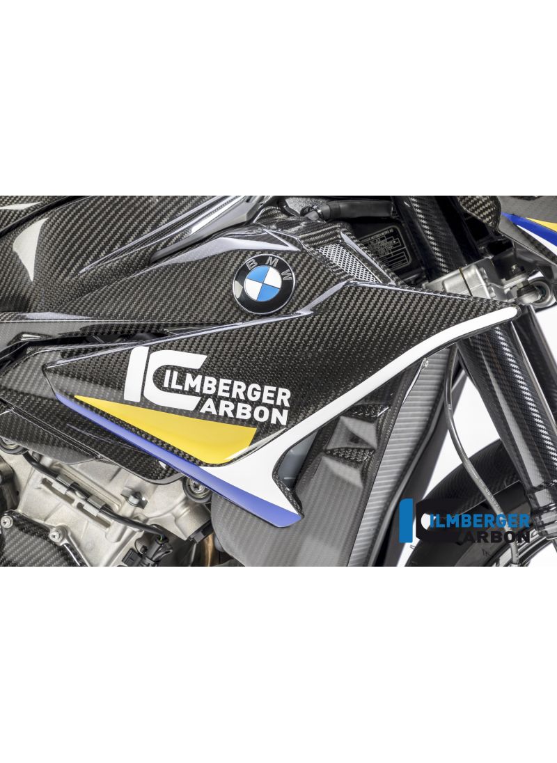 Side Fairing Carbon Right BMW S1000R 2017-