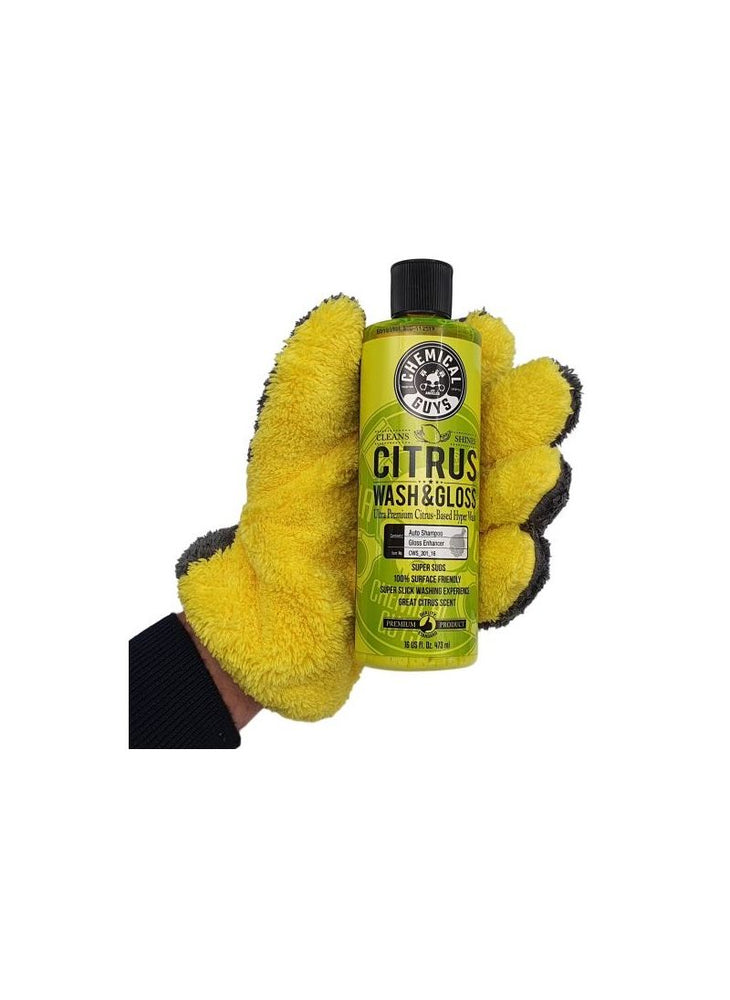 
                  
                    Citrus Wash & Gloss Handy Pack
                  
                