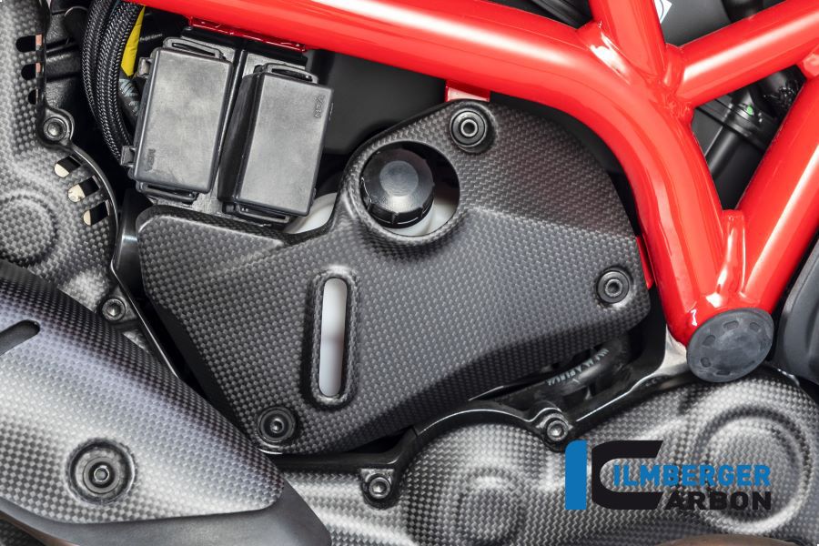 Cubierta debajo del marco del lado derecho Matt Carbon - Ducati Monster 1200 (2017-2021)