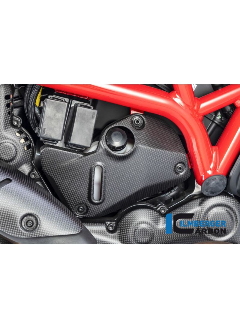 Cover under the Frame right side matt carbon - Ducati Monster 1200 2017+