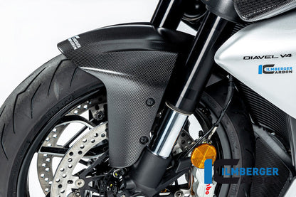 Voorspatbord mat carbon Ducati Diavel V4 RS (2025+)