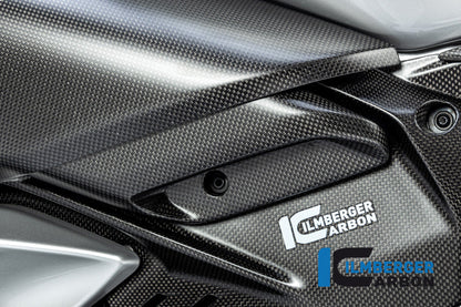Luchtgeleider (luchtuitlaat) links mat carbon Ducati Diavel V4 RS (2025+)