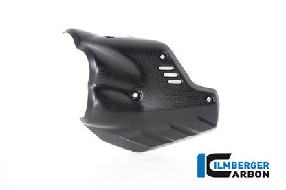 Uitlaathitteschild muffler mat carbon Ducati Diavel V4 RS (2025+)