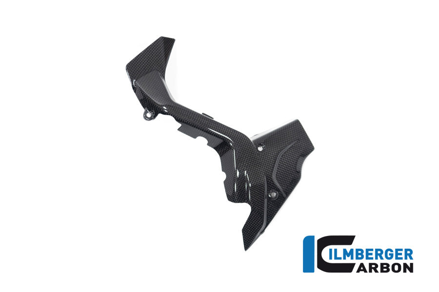 Voortandwiel cover glanzend carbon Ducati Diavel V4 RS (2025+)