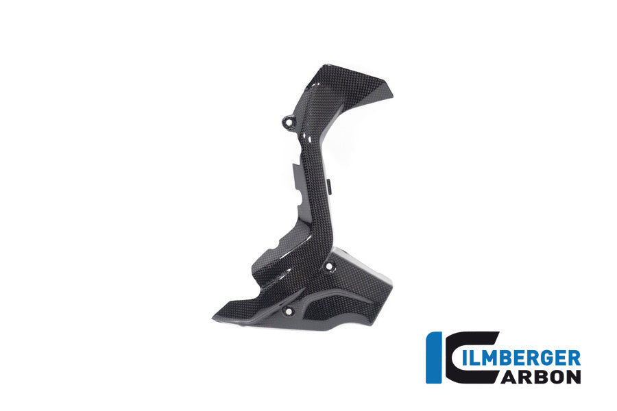 Voortandwiel cover glanzend carbon Ducati Diavel V4 RS (2025+)