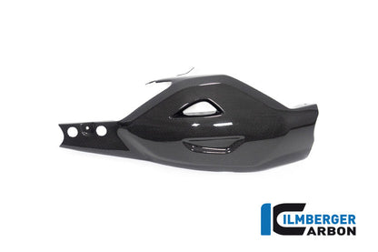 Achterbrug beschermer glanzend carbon Ducati Diavel V4 RS (2025+)