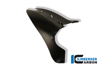 Achterspatbord (hugger) mat carbon Ducati Diavel Strada (2013-2015)
