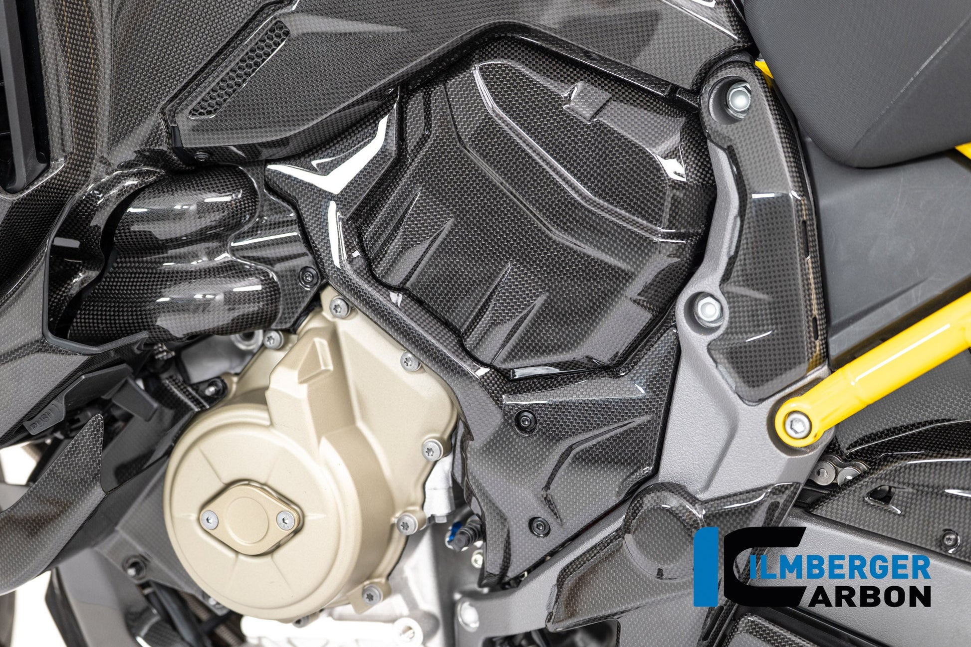 Waterpomp beschermer glanzend carbon Ducati Multistrada V4 Pikes Peak (2022-2024)