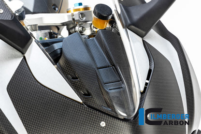 Dachboard cover mat Ducati Panigale V4 R (2021-2024)