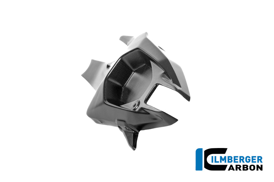 Achterbrugbeschermer (links) mat carbon Ducati Panigale V4 S 2025+