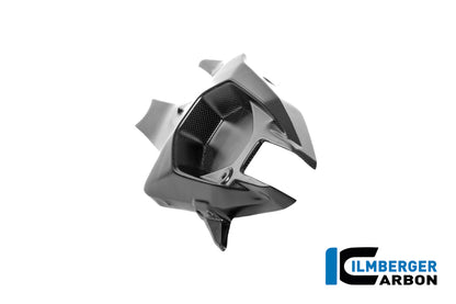 Achterbrugbeschermer (links) mat carbon Ducati Panigale V4 S 2025+