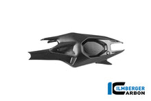 Achterbrugbeschermer (links) mat carbon Ducati Panigale V4 S 2025+