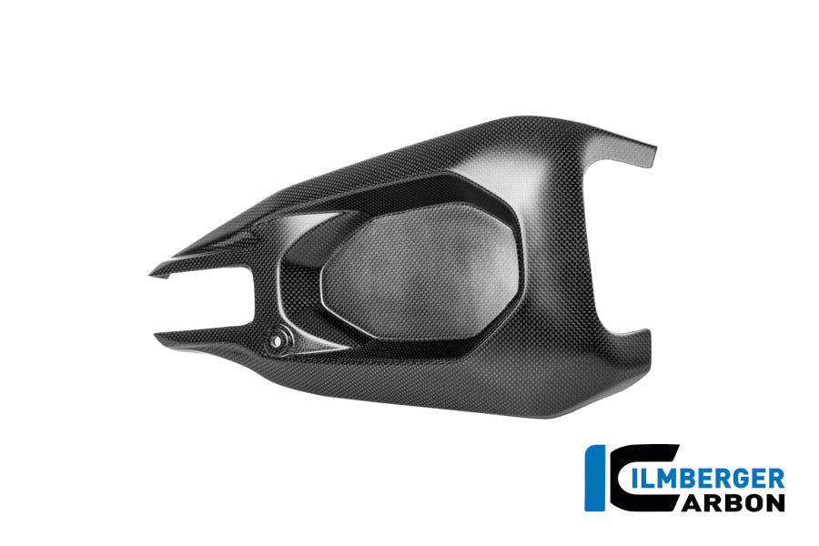 Achterbrugbeschermer (rechts) mat carbon Ducati Streetfighter V4 S 2025+