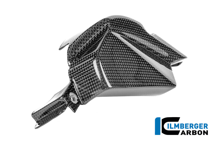 Tandwielbeschermer glanzend carbon Ducati Panigale V4R ((2026+))