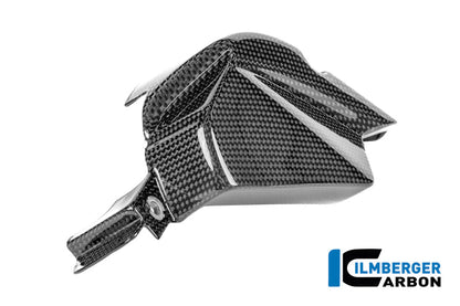 Tandwielbeschermer glanzend carbon Ducati Panigale V4R ((2026+))