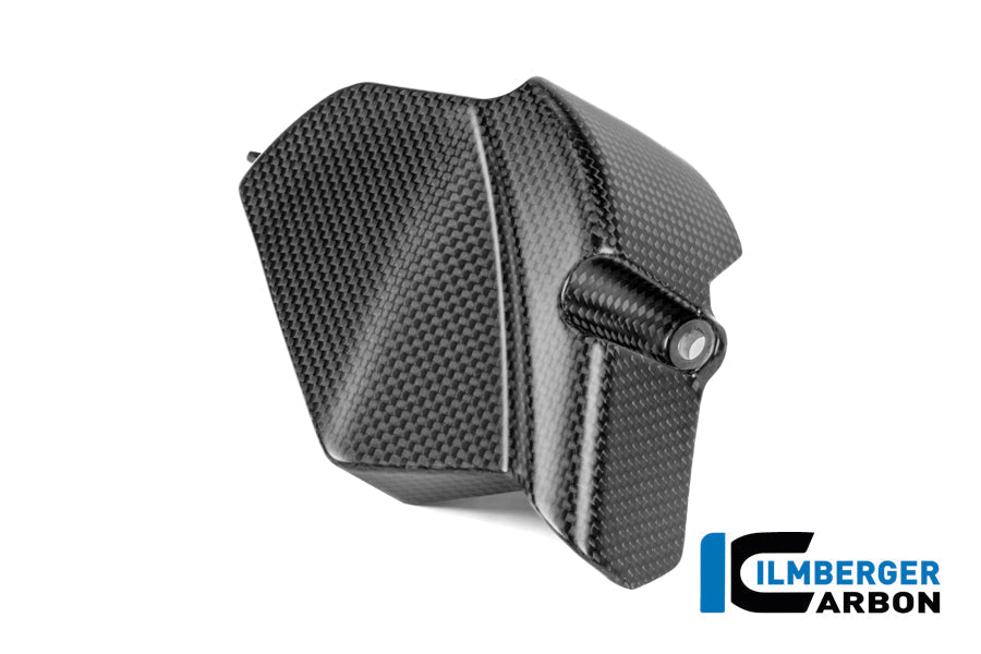 Tandwielbeschermer mat carbon Ducati Panigale V4 Tricolore (2025+)