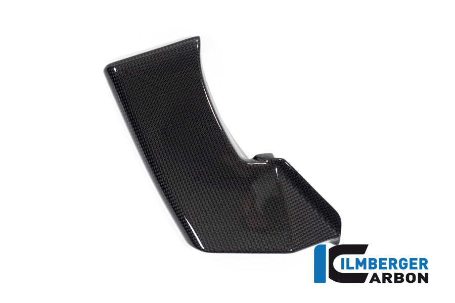 Winglet Kit links glanzend carbon Ducati Streetfighter V4 Lamborghini (2023-2024)