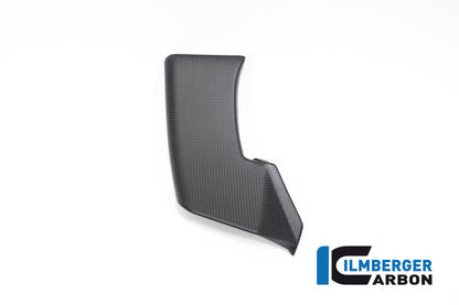Winglet Kit links mat carbon Ducati Streetfighter V4 (2023-2024)