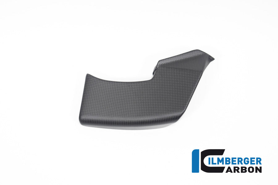 Winglet Kit links mat carbon Ducati Streetfighter V4 (2023-2024)