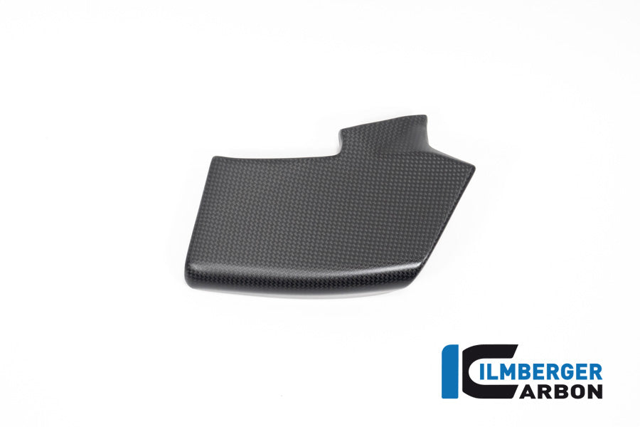 Winglet Kit links mat carbon Ducati Streetfighter V4 (2023-2024)