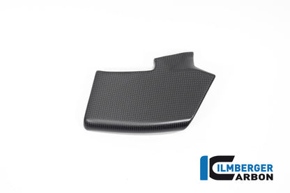 Winglet Kit links mat carbon Ducati Streetfighter V4 (2023-2024)