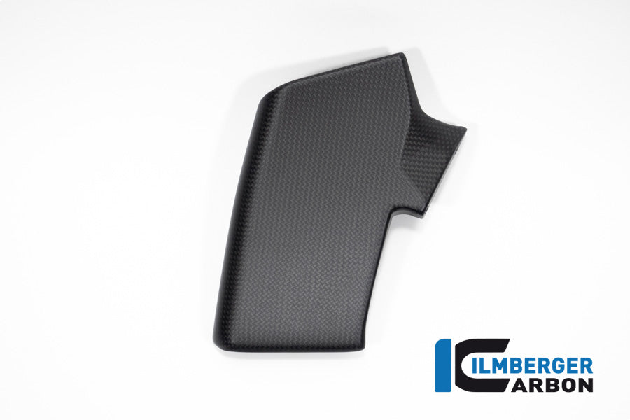 Winglet Kit rechts mat carbon Ducati Streetfighter V4 SP (2022-2024)