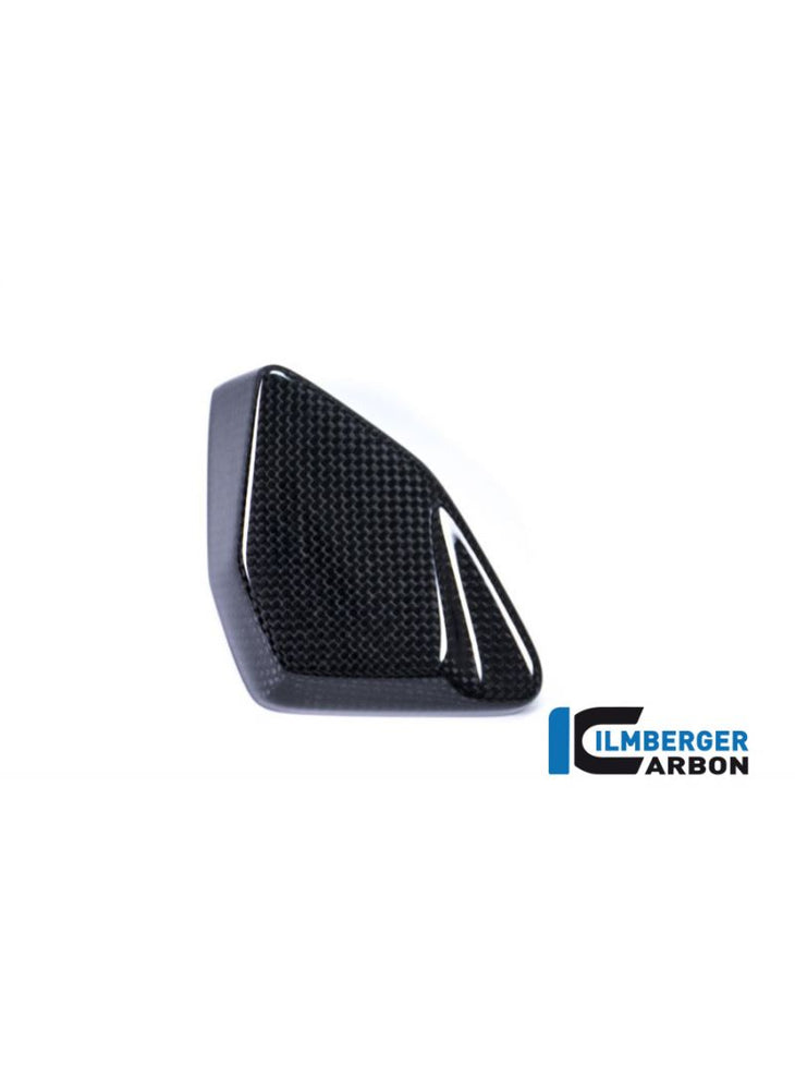 ESA Cover Carbon BMW R1200GS LC 2017+