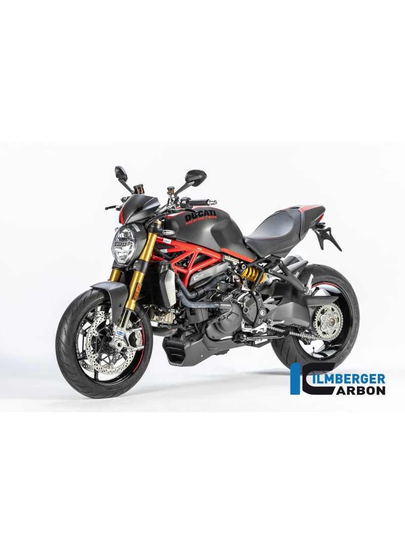 Engine Guard left side glossy carbon - Ducati Monster 1200 2017+