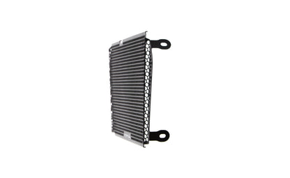 Evotech Radiatorcover - Aprilia Shiver 900 (2018 - 2021)