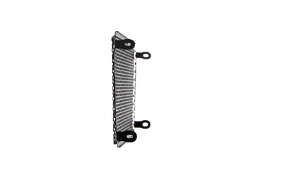 Evotech Radiatorcover - Aprilia Dorsoduro 750 (2008 - 2016)