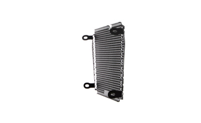 Evotech Radiatorcover - Aprilia Shiver 900 (2018 - 2021)