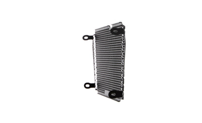 Evotech Aprilia Shiver SL 750 Radiatorcover (2007 - 2016)