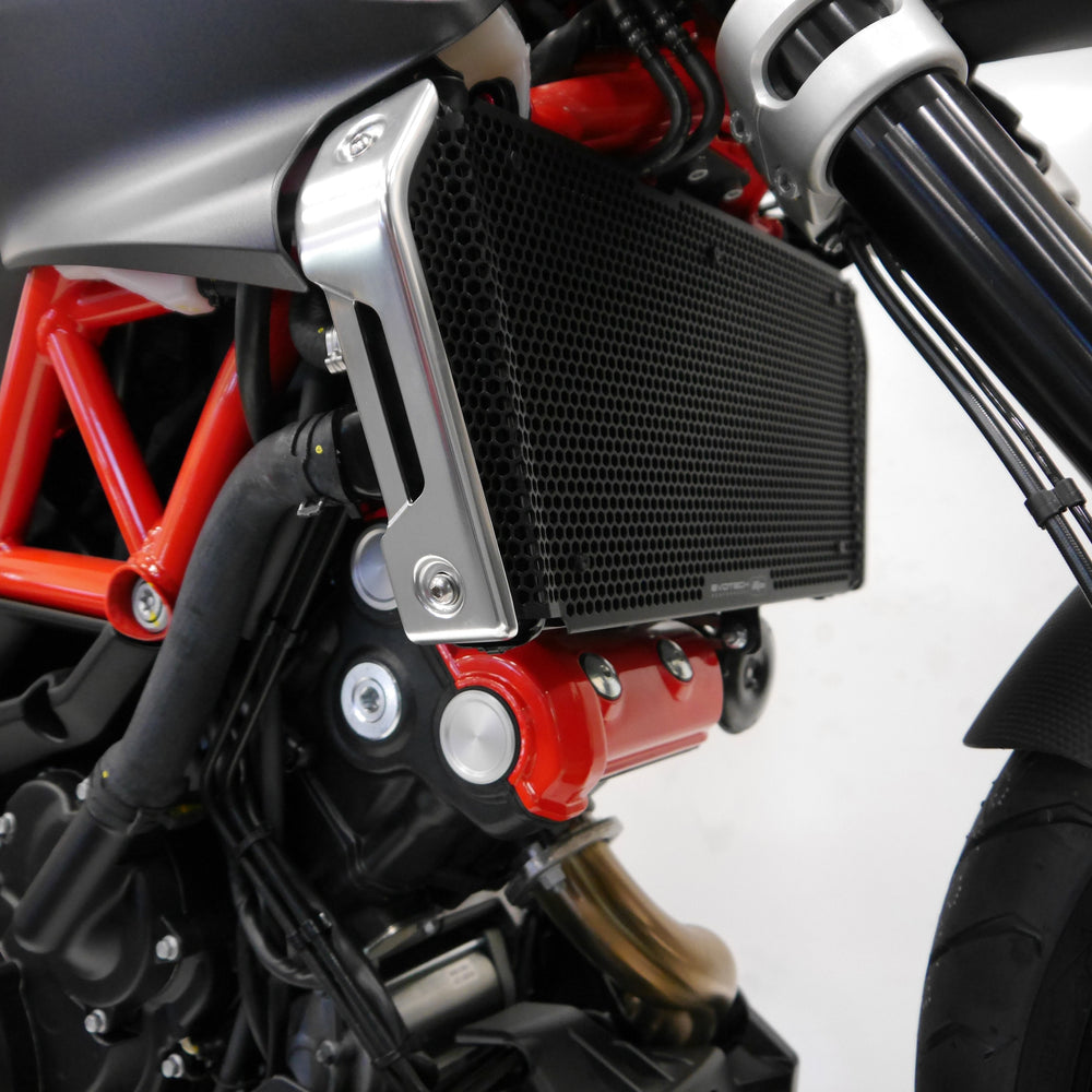 Aprilia Shiver 900 motorcycle showing EP Radiator Guard installed