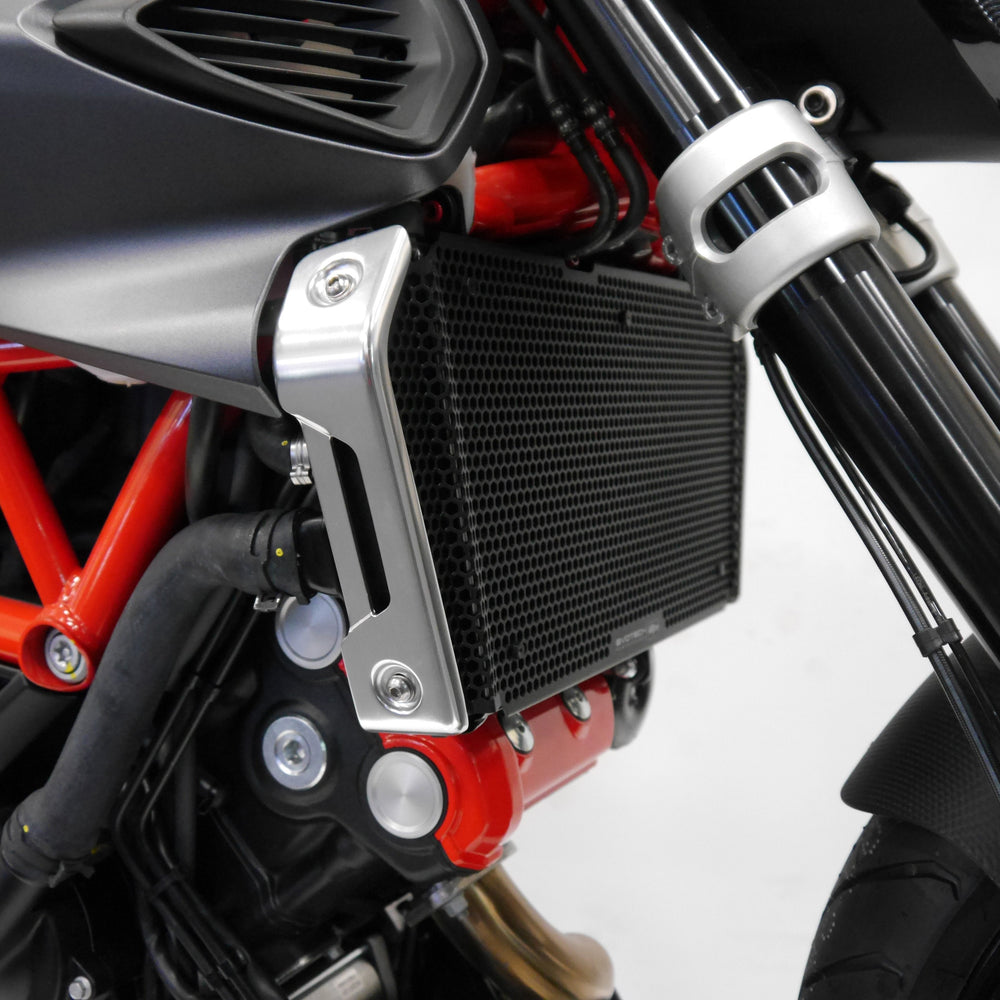 
                  
                    Side view of EP Radiator Guard for Aprilia Shiver 900
                  
                