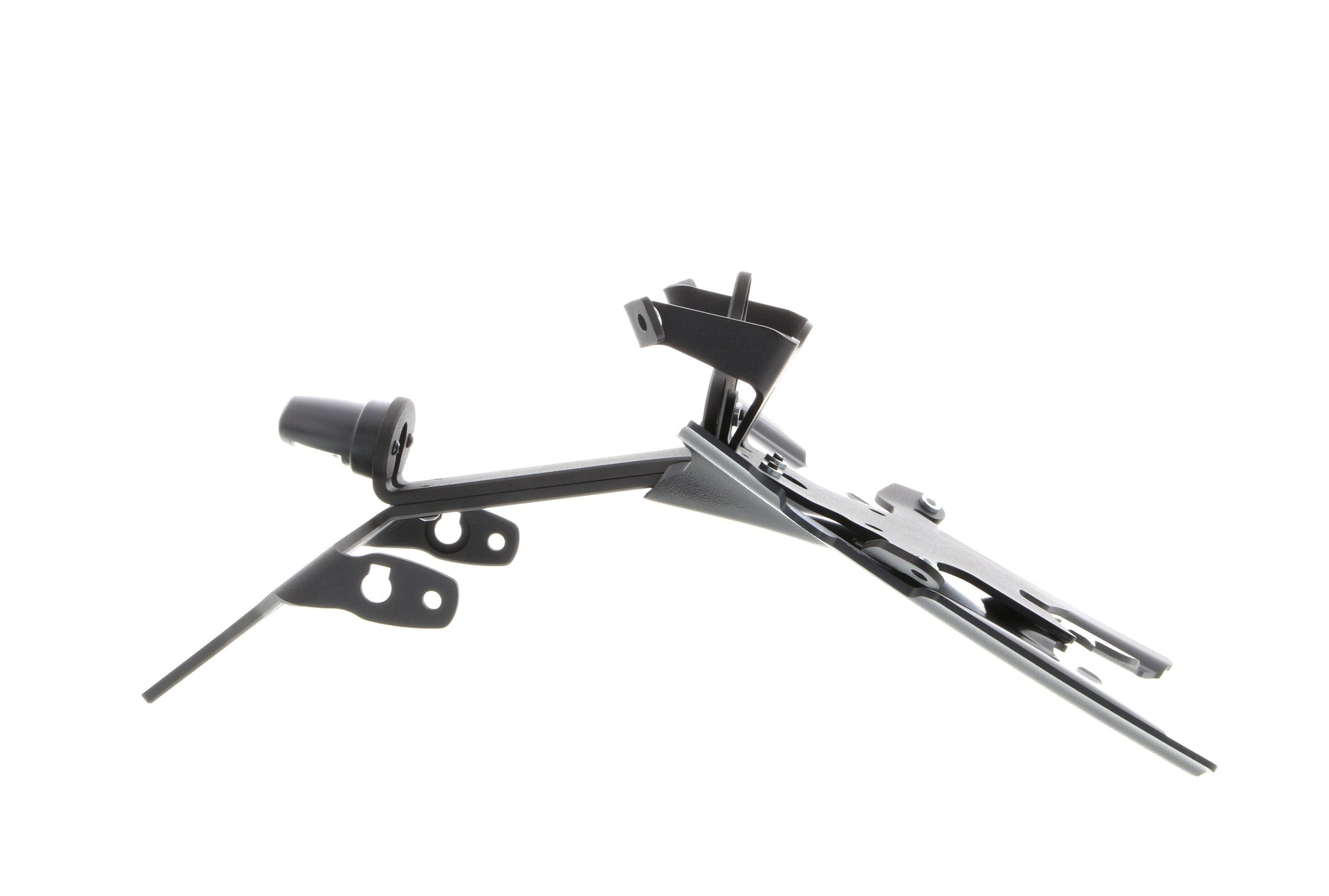 Evotech BMW R 1250 R Kentekenplaathouder (2019+)