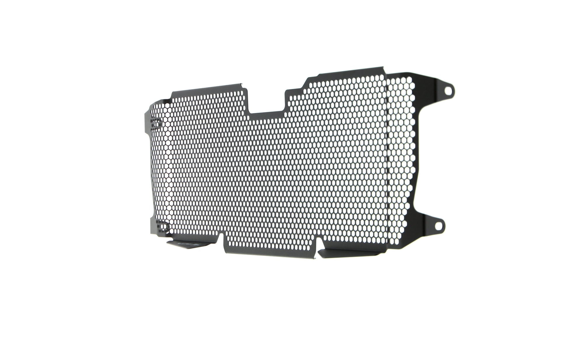 Evotech BMW R 1250 R Radiatorcover (2019+)