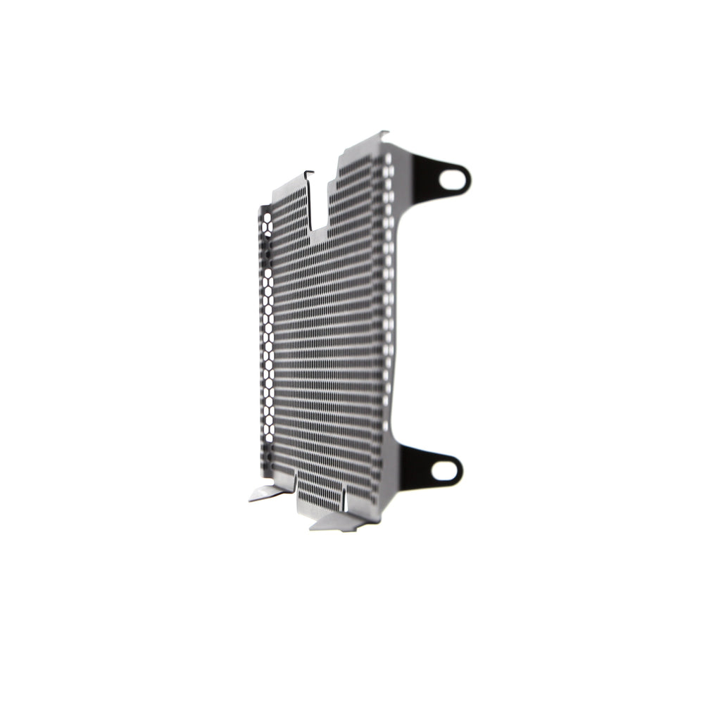 
                  
                    Evotech BMW R 1200 R Radiator Guard 2015 - 2018
                  
                