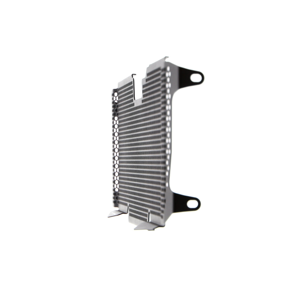 
                  
                    Evotech BMW R 1250 R Radiator Guard (2019+)
                  
                