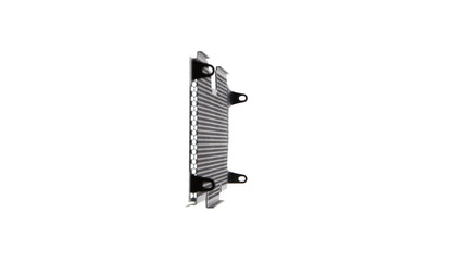 Evotech BMW R 1200 R Radiatorcover 2015 - 2018