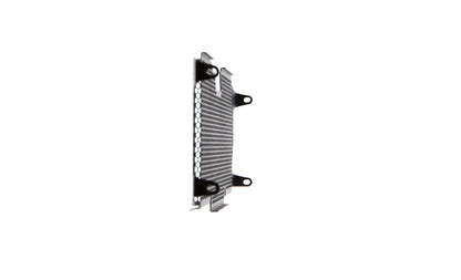 Evotech BMW R 1250 R Sport Radiatorcover (2019+)