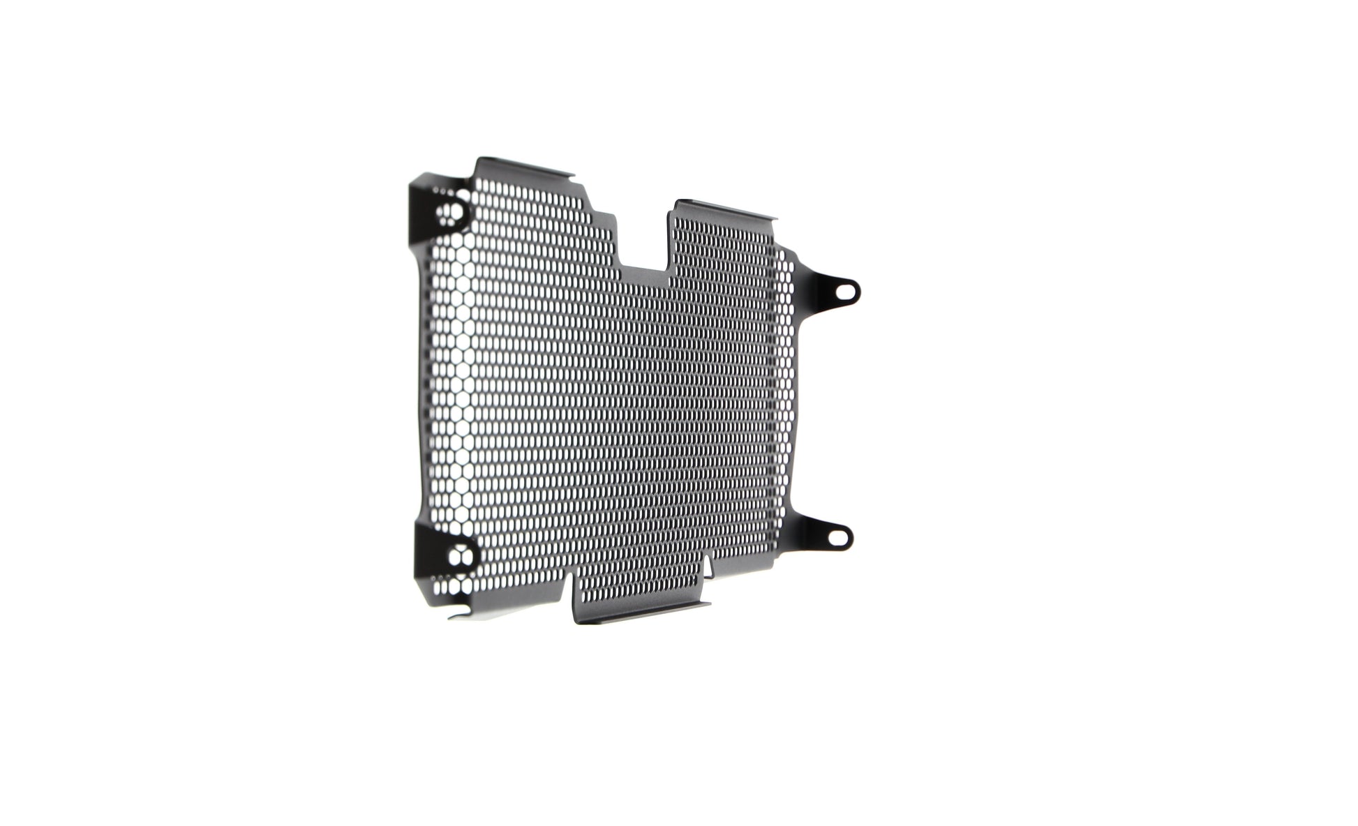 Evotech BMW R 1250 R Exclusive Radiatorcover 2019+