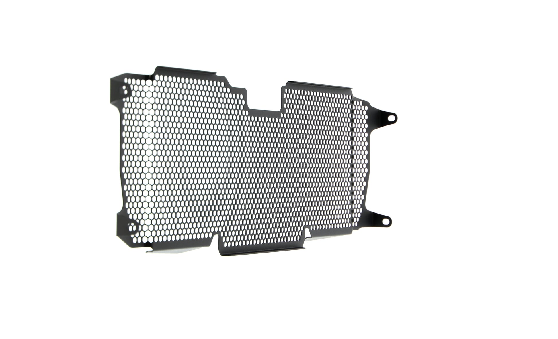 Evotech BMW R 1250 R Radiatorcover (2019+)